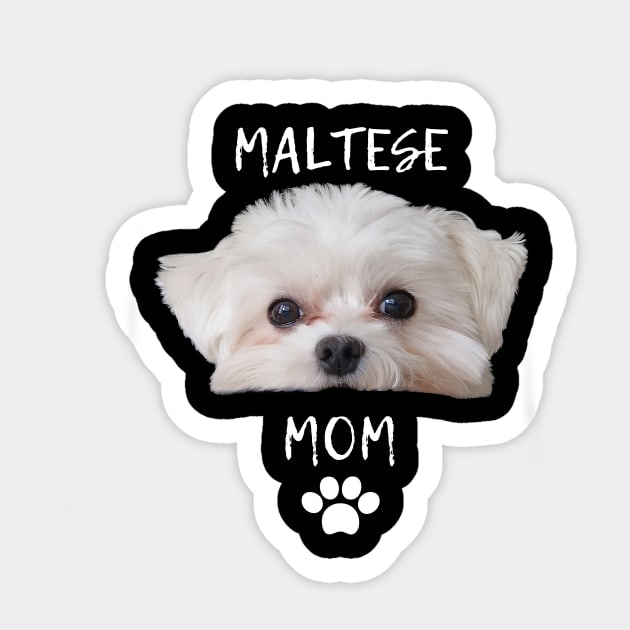 Cute T-shirt for mom of a Maltese Sticker by jachu23_pl